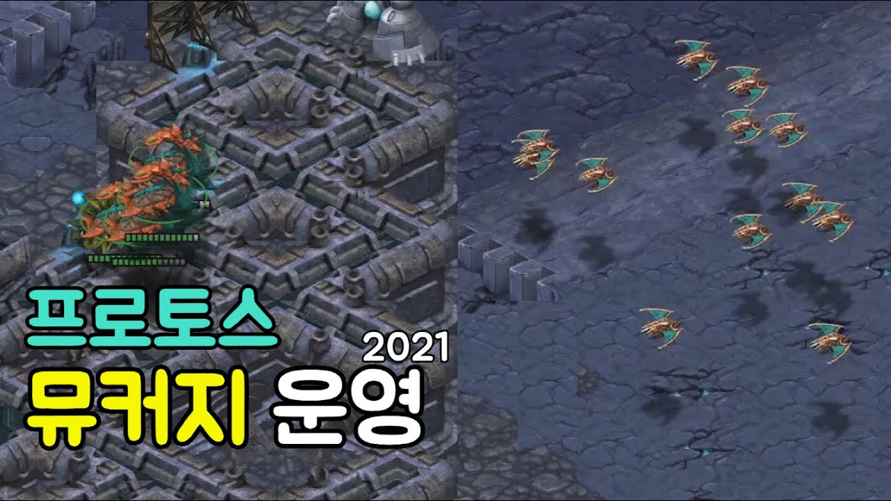 프로토스전 이거 하나면 나도 래더 S?