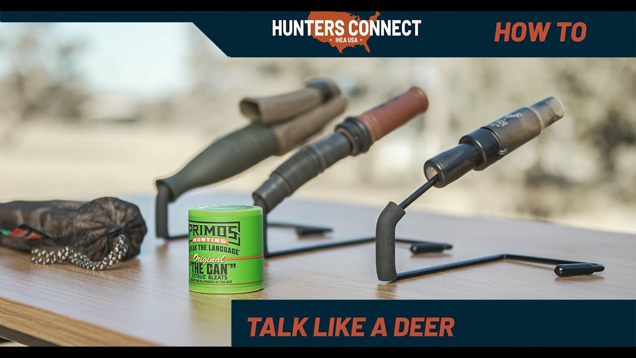 Станьте заклинателем оленей; научитесь подзывать оленей в полевых условиях!