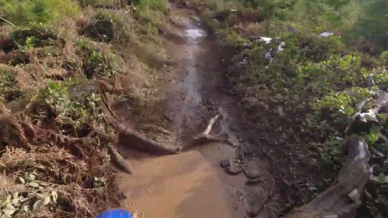 WR250F и WR450F подряд