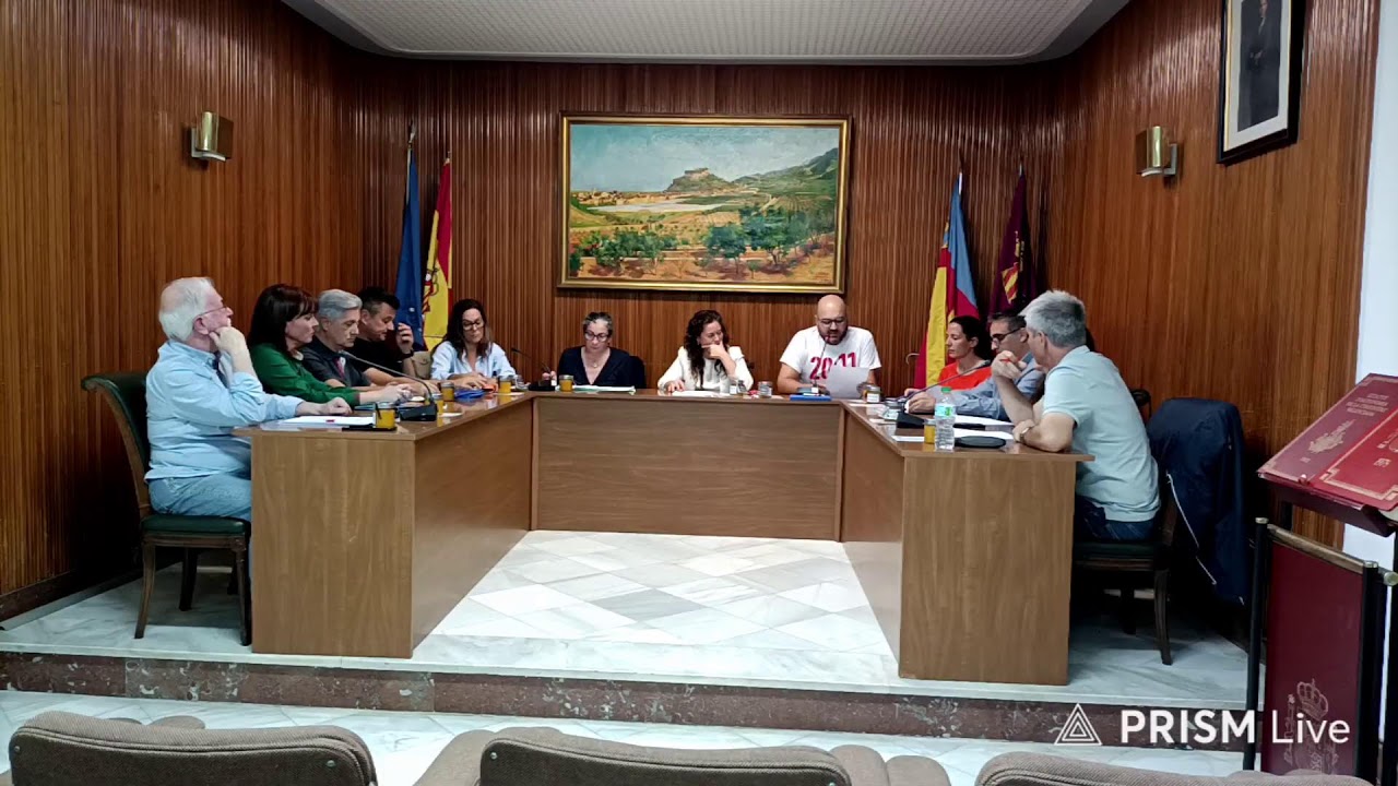 Ple ordinari de juliol