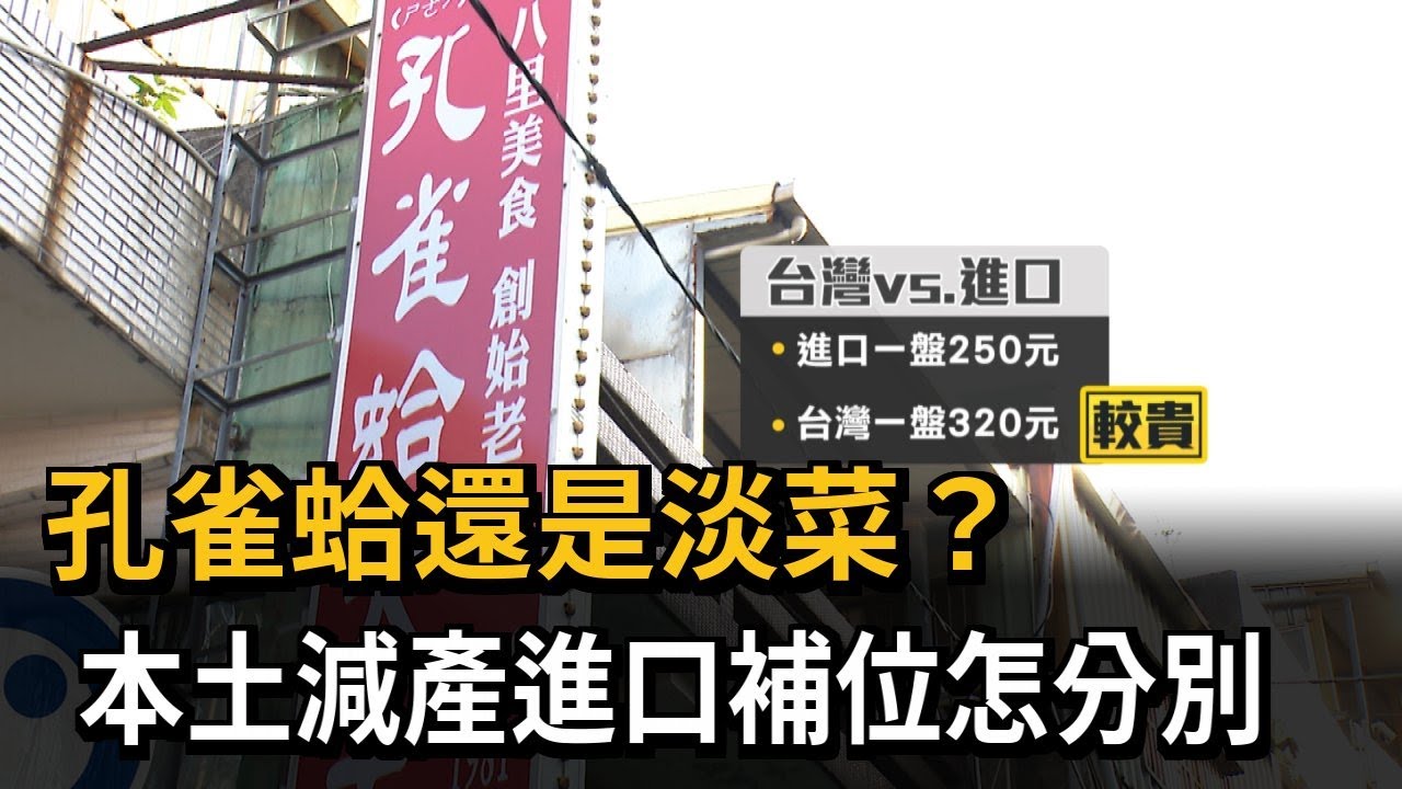 孔雀蛤還是淡菜？ 本土減產進口補位怎分別－民視新聞
