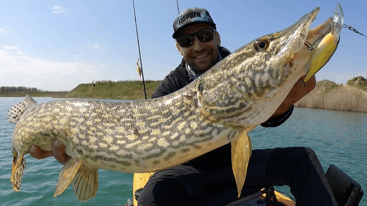 STIUCI SUPERB COLORATE prinse la VOBLERE RAPALA
