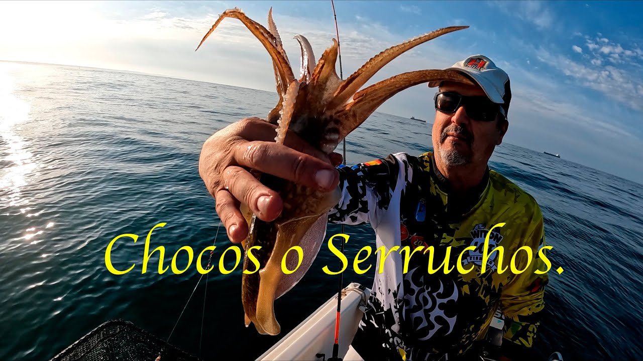 Chocos o Serruchos