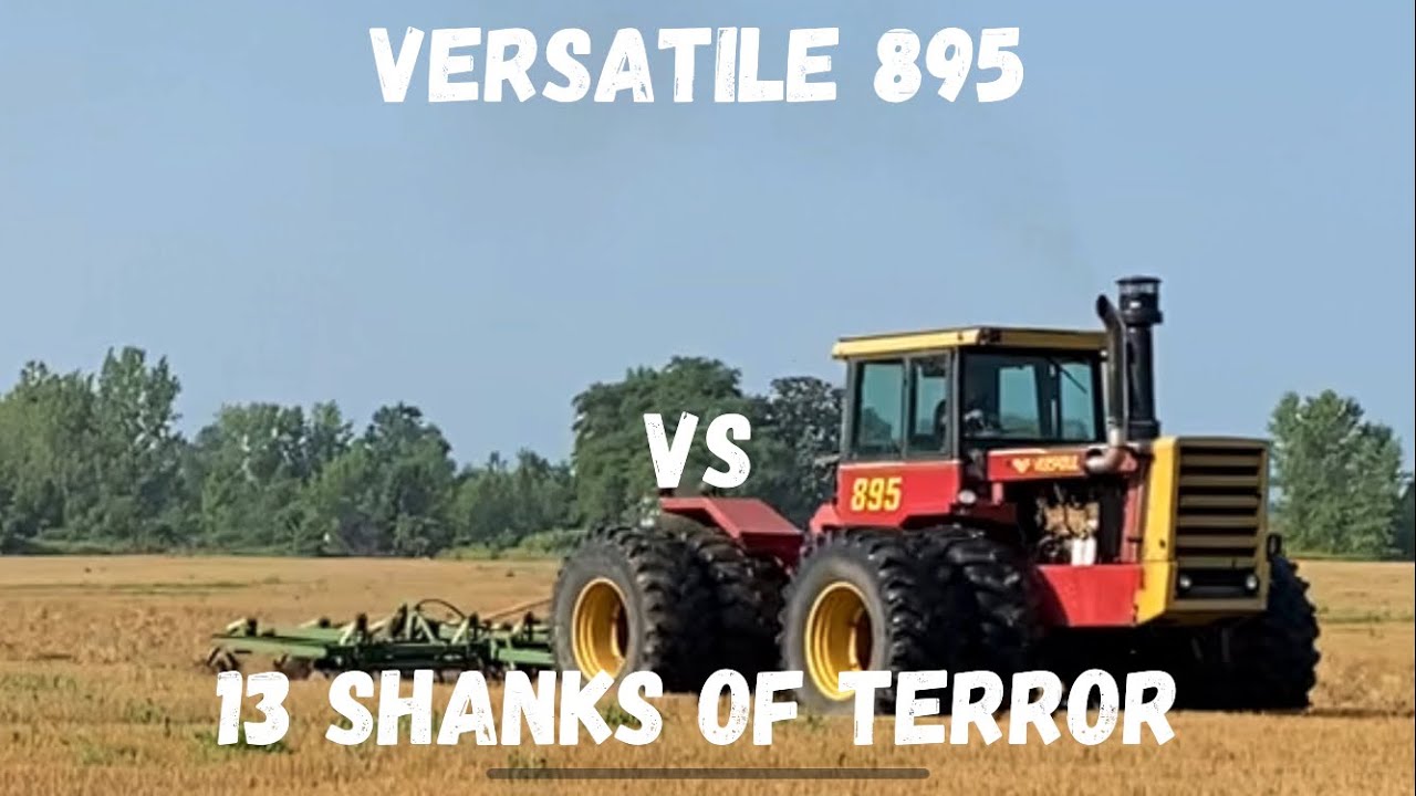 Versatile 895 VS 13 shanks of terror!  Chisel plowing wheat stubble with ease 😉