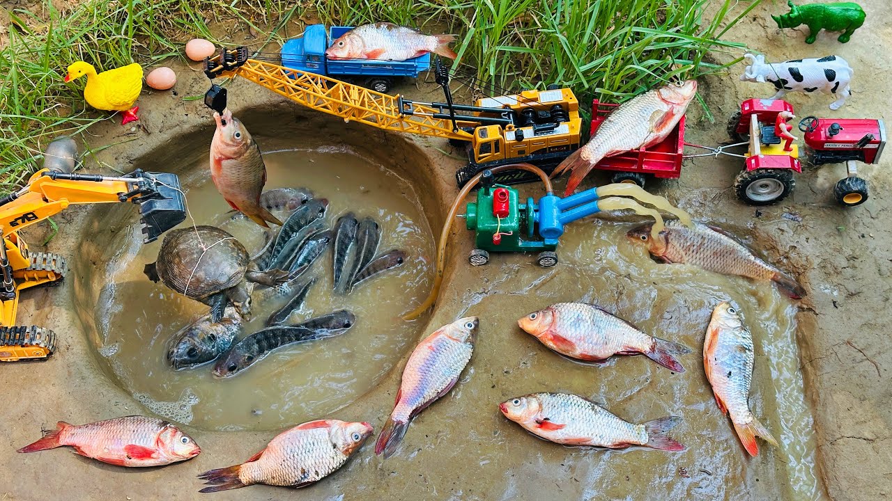 Catch fish using Mini diesel engine water pump | fishing exciting | diy tractor |@Mini Fish Creatpr