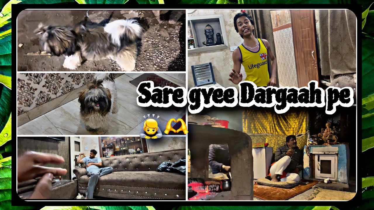 Family vlog | muffin ka dost milgyaa 🥳♥️