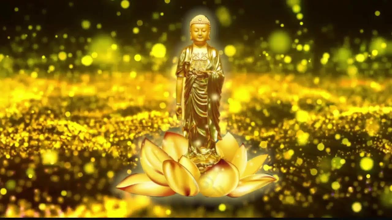 2026/02/03 心慧法師 | 帶領 《恭誦無量壽經》/ 《阿彌陀經易解》習講