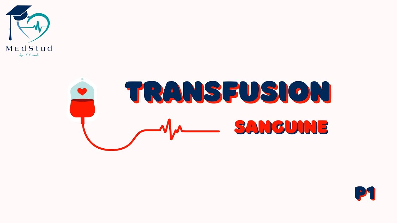 Hématologie | La transfusion sanguine (P1)