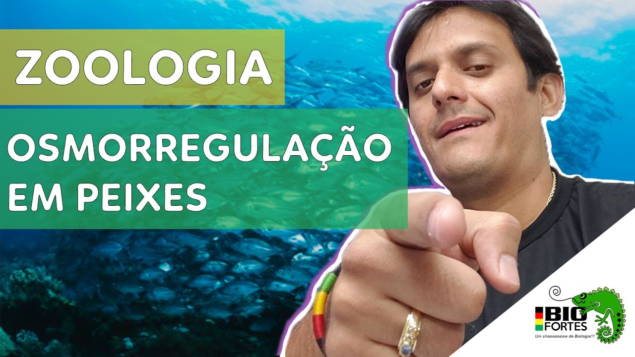 Osmorregulação em peixes