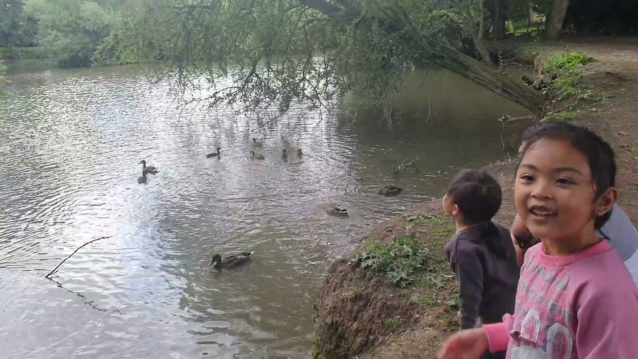 Adventure at MONK PARK FARM|| Thirsk, NorthYorkshire,UK|| JAMHAE