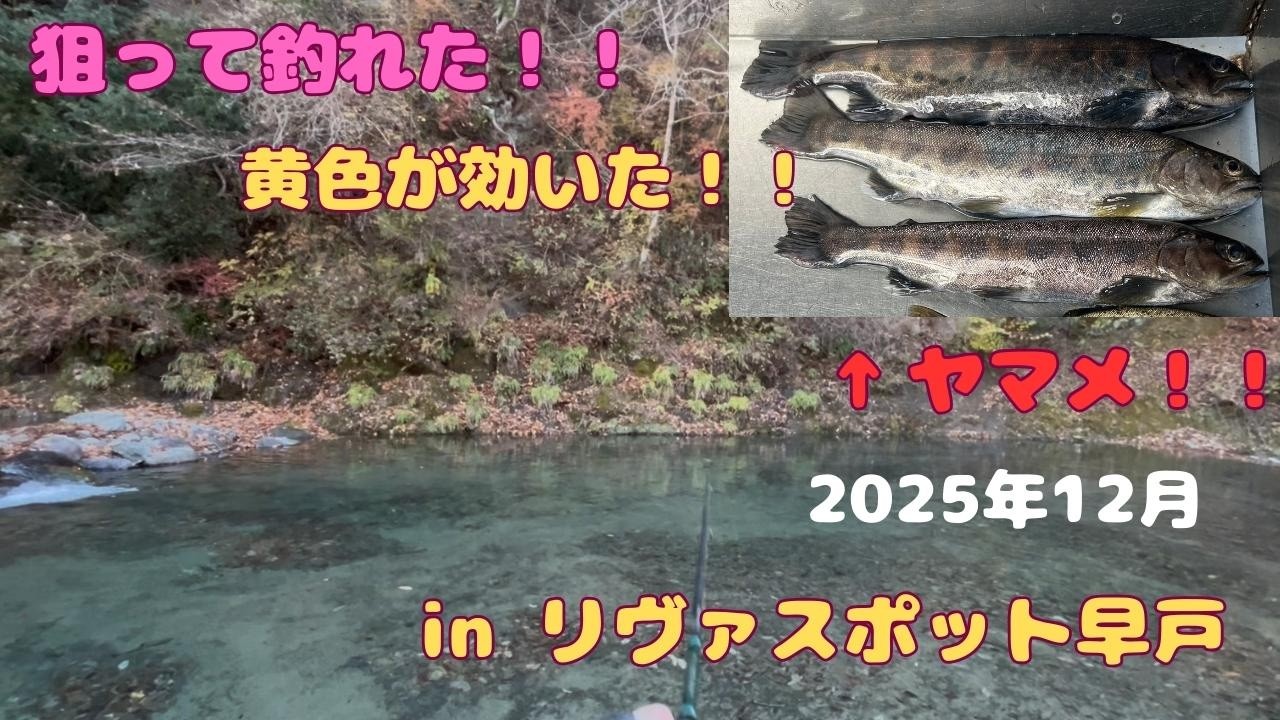 リヴァスポットでヤマメは釣れる？効いたのは黄色だった