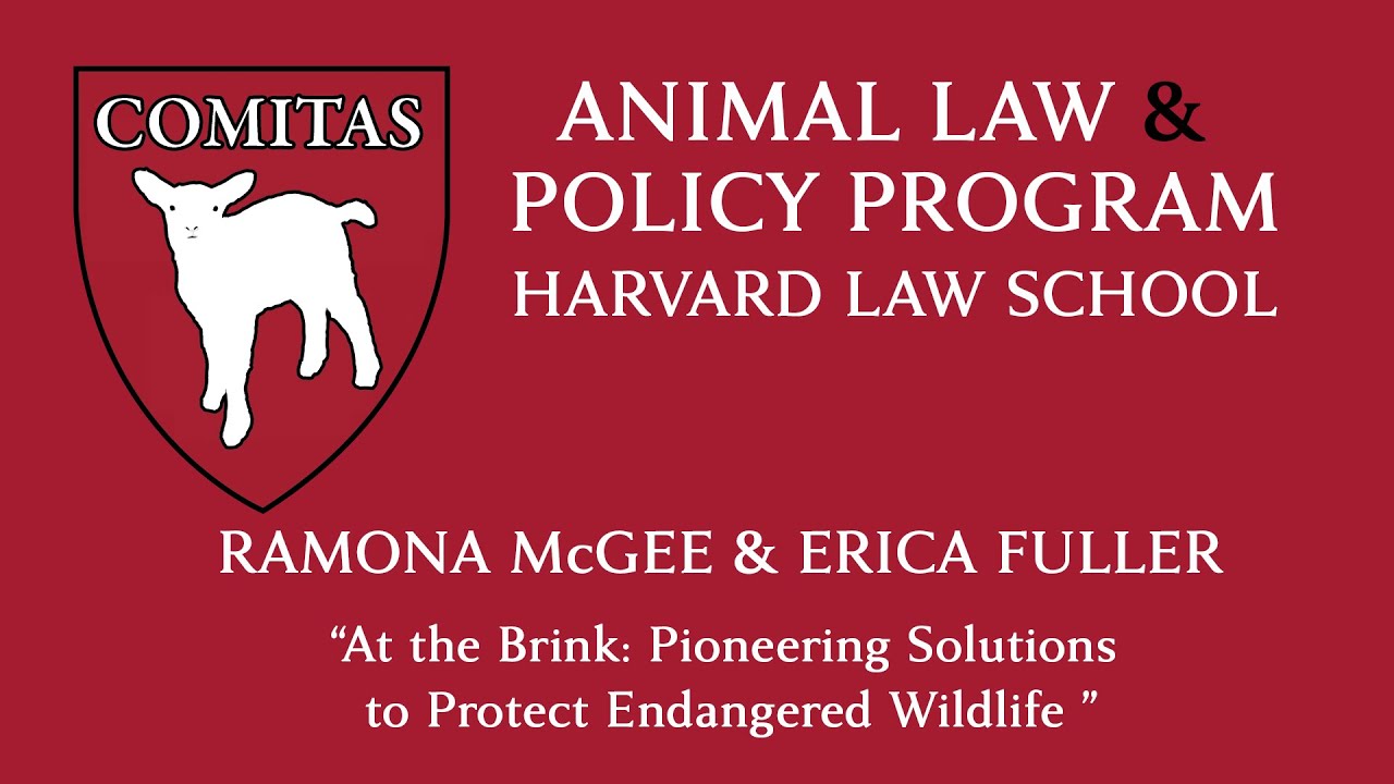 At the Brink: Pioneering Solutions for Endangered Wildlife
