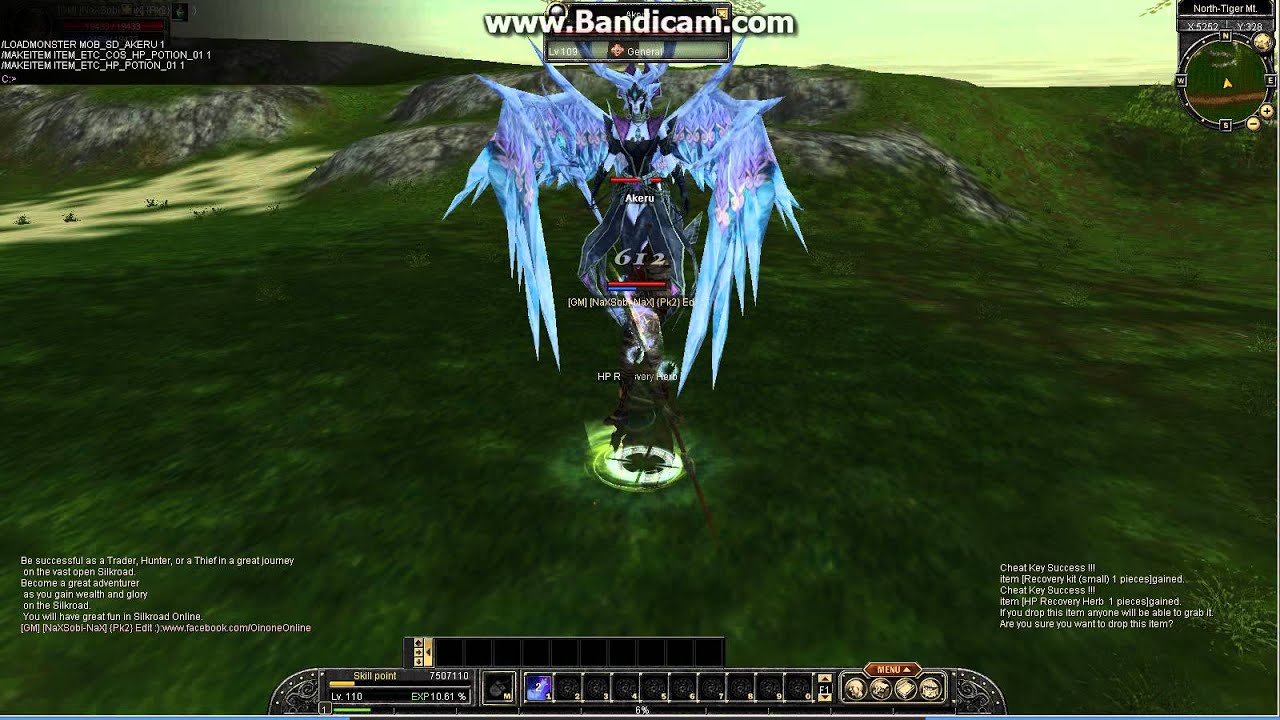 Vsro Skill Edit NaXSobi-NaX  [New]