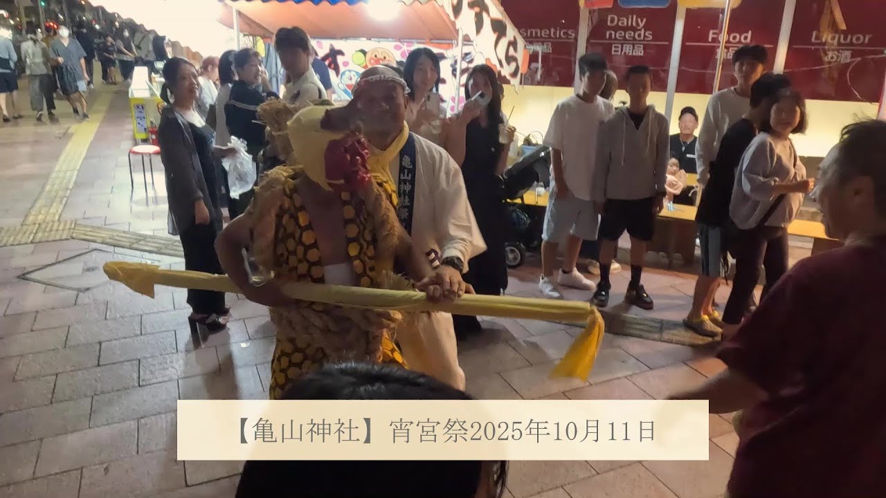 【亀山神社】宵宮祭で見物客がやぶを挑発💦2025年10月11日