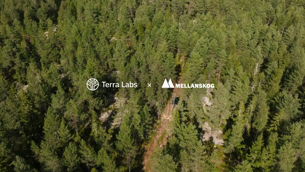 Terra Labs &times; Mellanskog