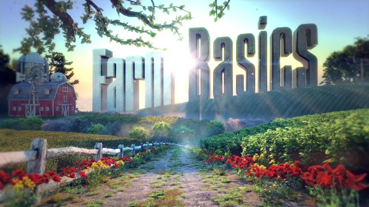 Farm Basics 