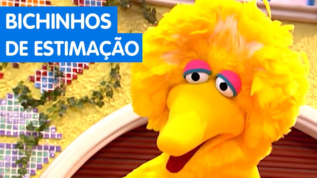 Vila Sésamo 2007: Bichinhos de Estimação