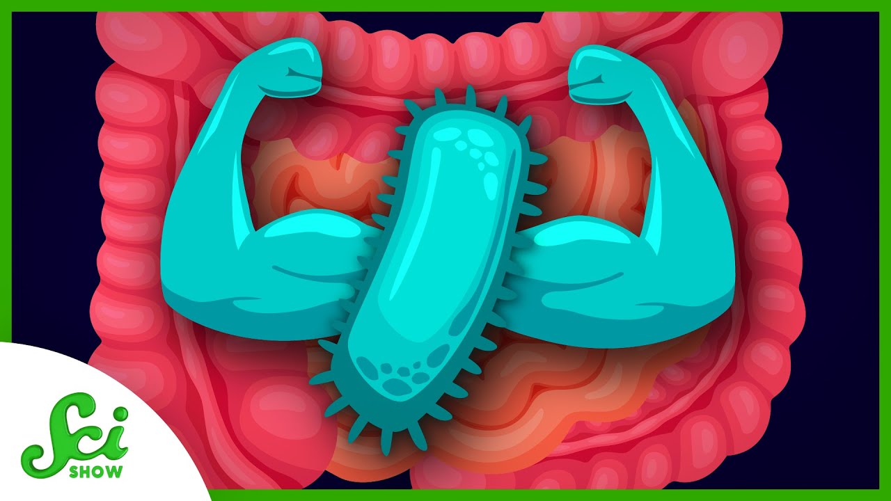 The Secret to Big Gains? Healthy Gut Bacteria 