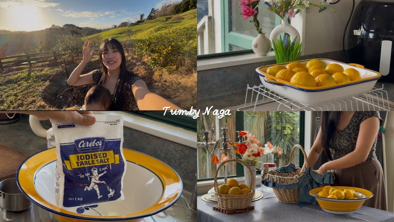 Using only 4 ingredients to preserve lemons🍋 growing in our backyard 
