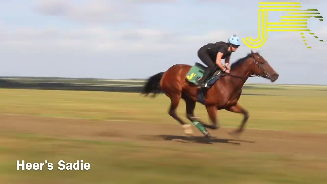 Newmarket Gallops 25/06/22 - Julia Feilden Racing