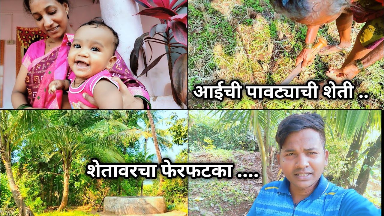 आईने केली पावट्याची शेती🌱| गावाचं आयुष्य साधं असतं,पण मनाला समाधान देणार असतं 🤗 | 