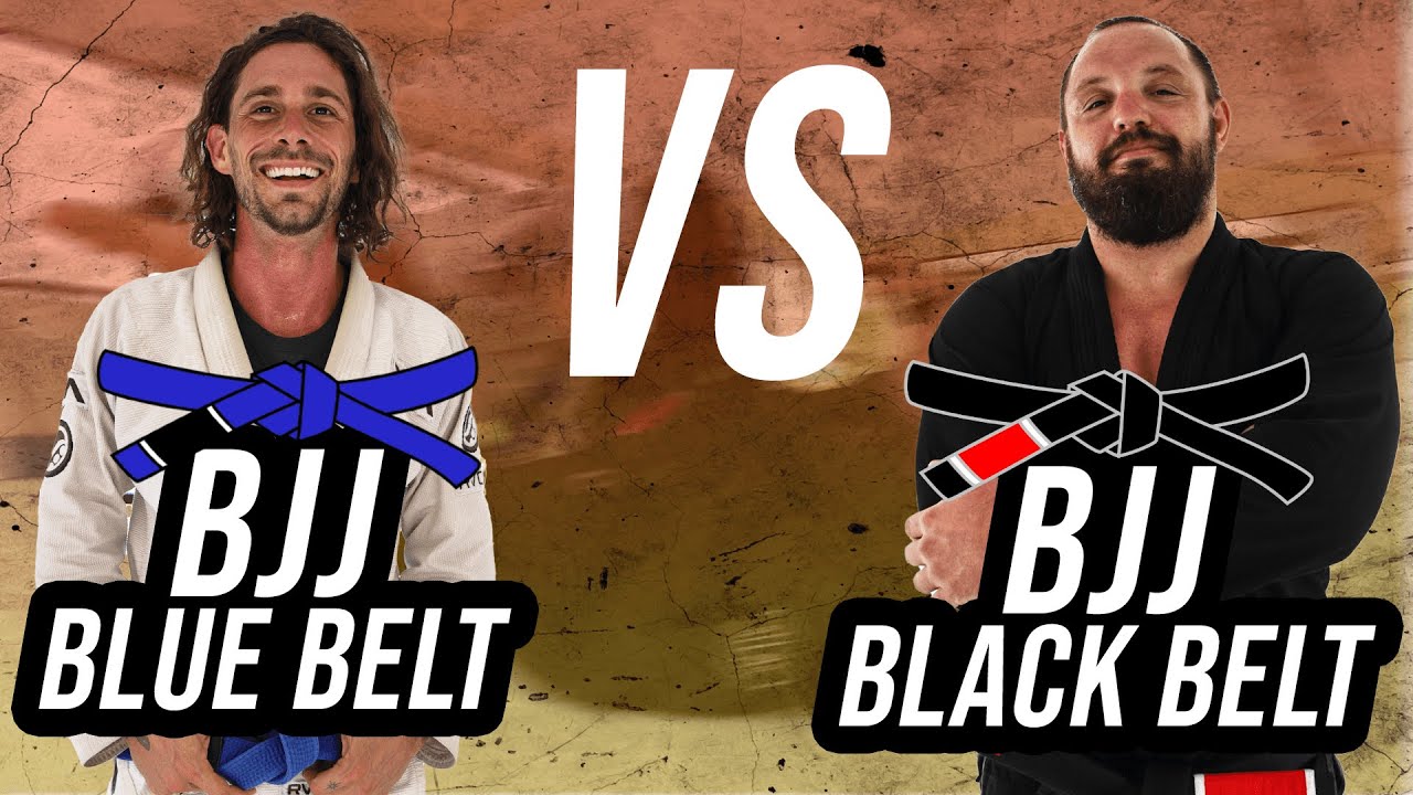 BJJ Black Belt vs BJJ Blue Belt | Rolling Commentary