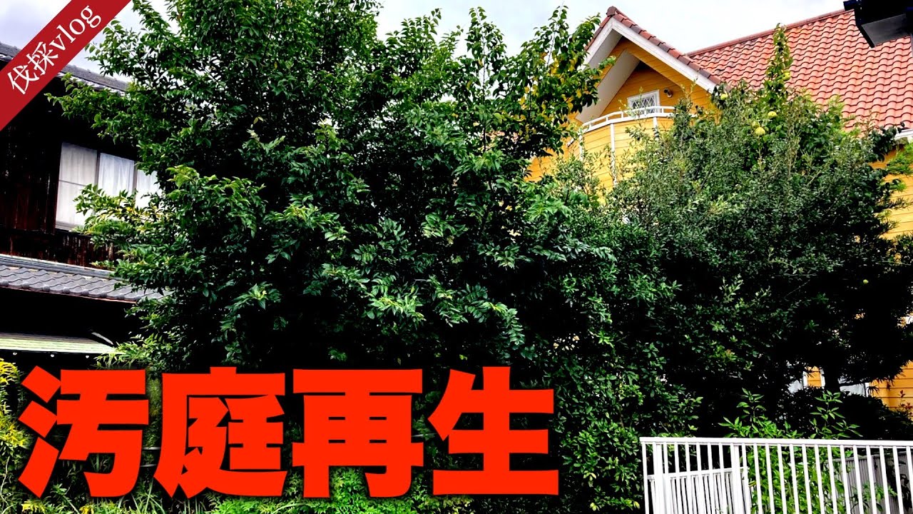 【伐採/開拓】【庭じまい】荒れ果てた汚庭を再生