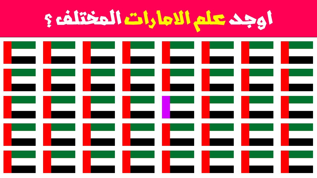 أقوى تحدي قوة ملاحظة: هل تستطيع إيجاد العلم الخطأ؟ 👁️ أتحداك!