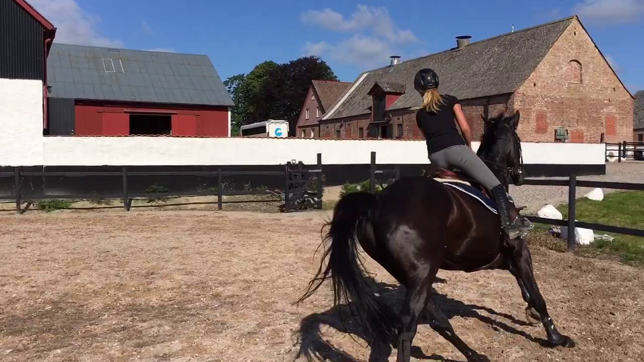 Lite hemma hoppning