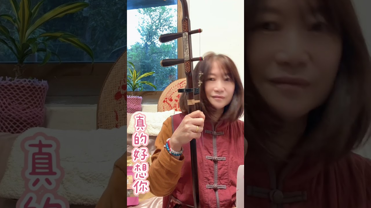 二胡真的好想你1150226 杨湘粤作詞  李汉颖作曲