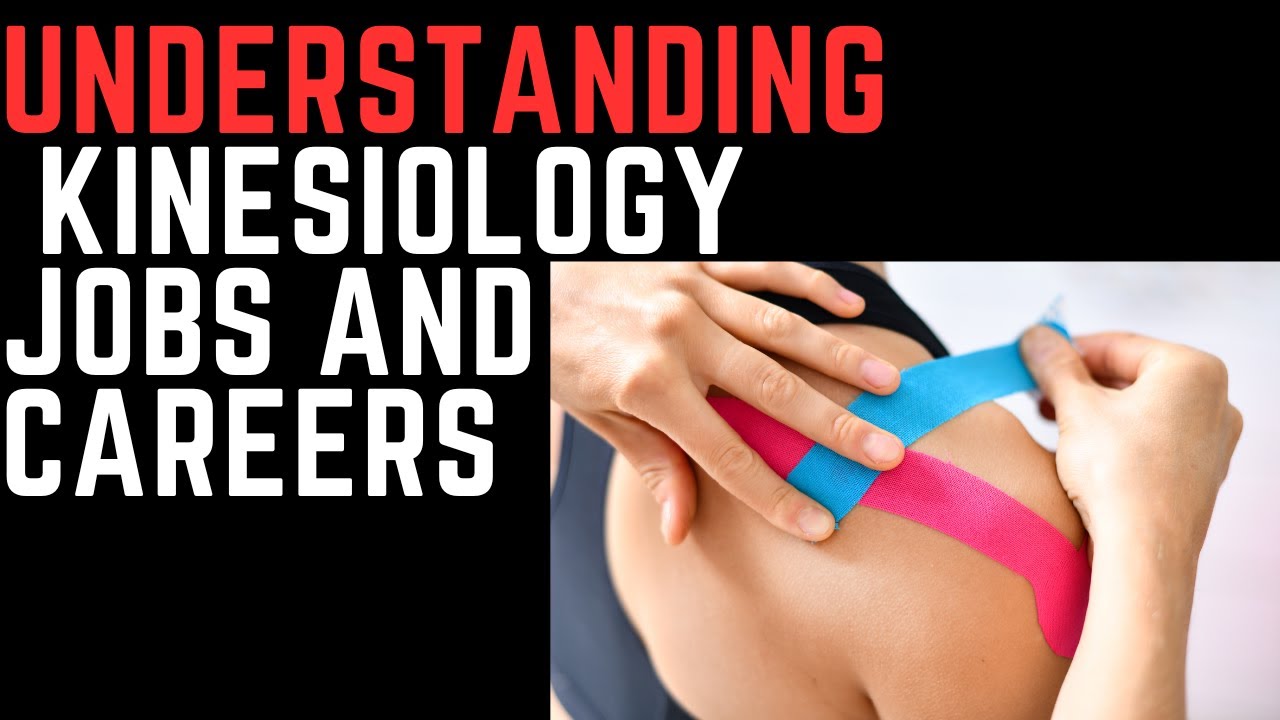 Top Kinesiology Jobs and Careers (Paths, Pay, Skills)