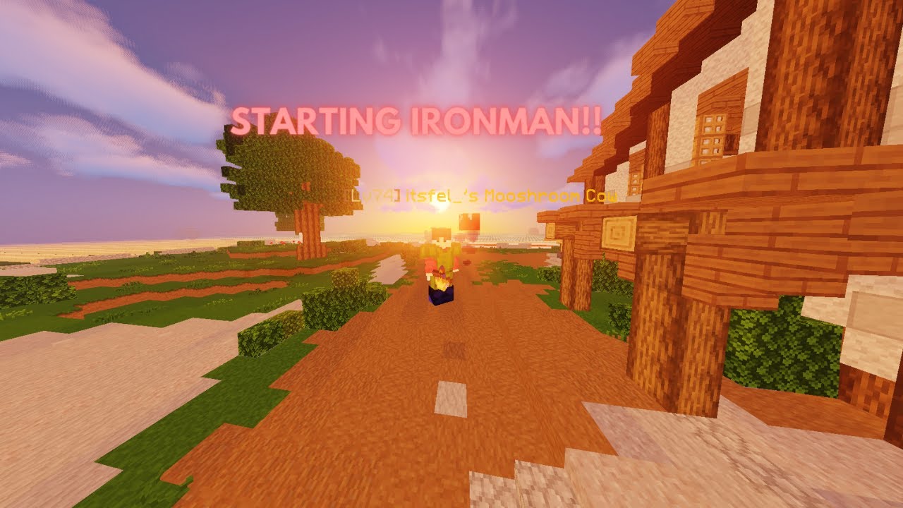 starting our ironman coop and recording a video #1