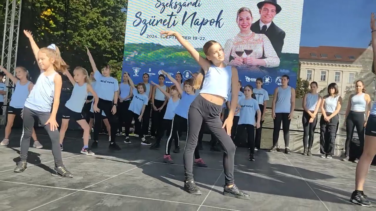 Mesz DanceTánccsoport - Szekszárdi Szüreti Napok