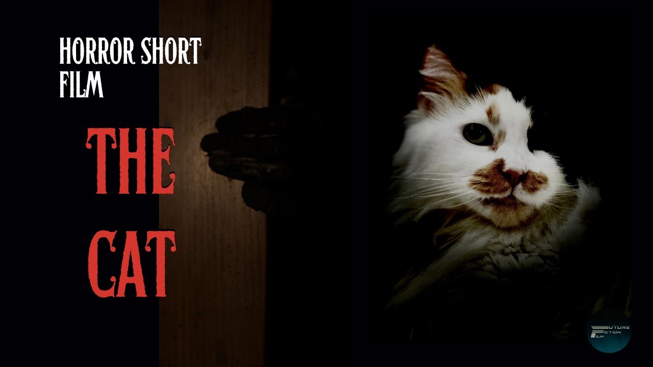 The Cat | Short Horror Film (4K)