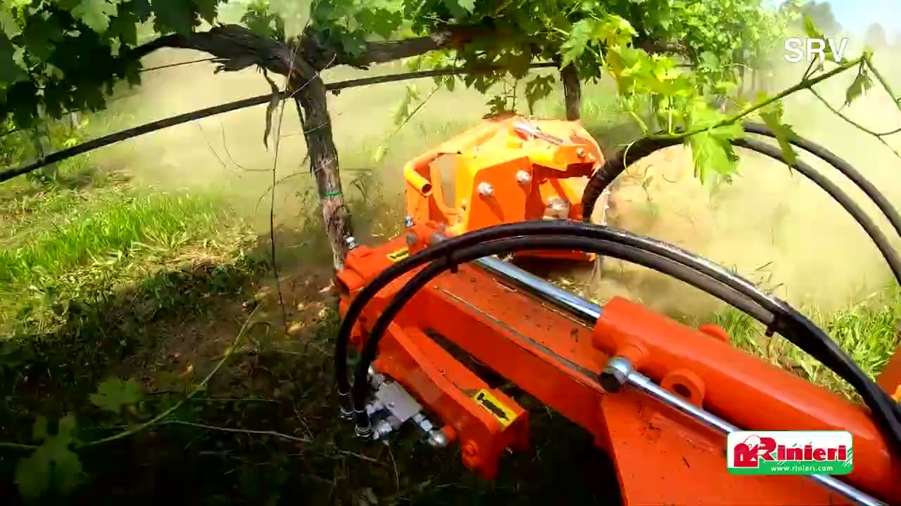 Rinieri SRV törzstisztító berendezés munka közben