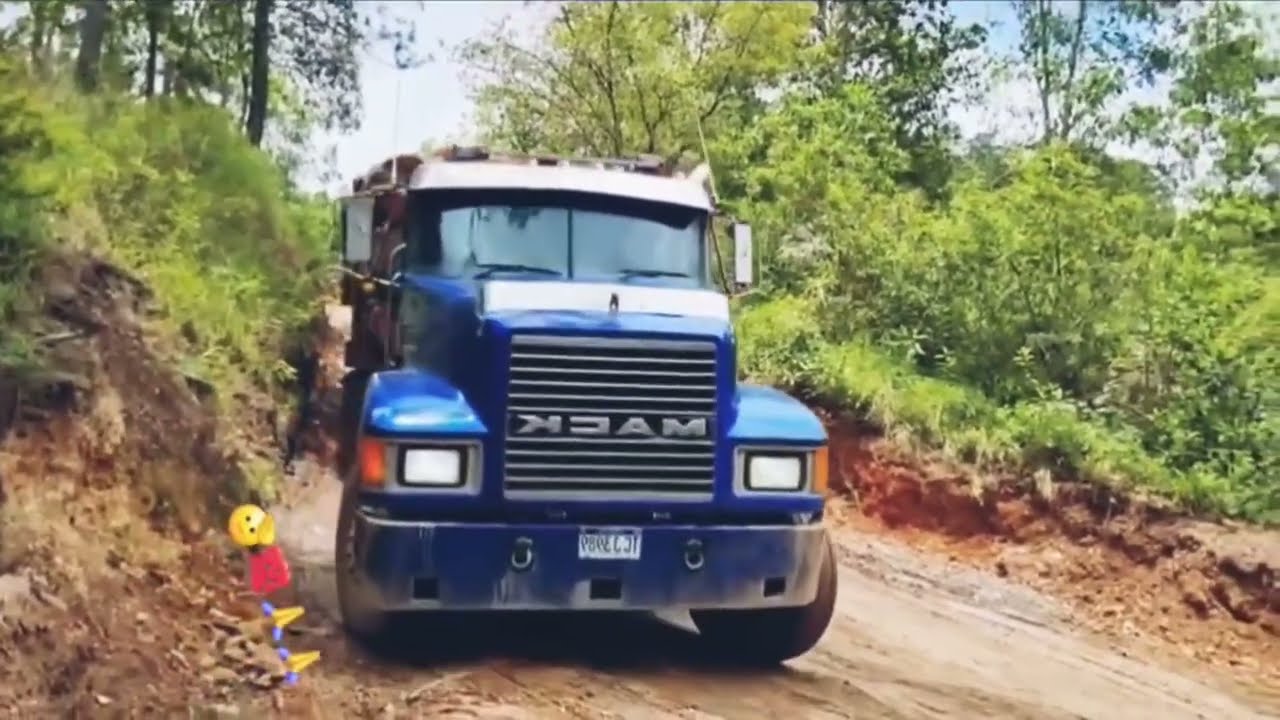 Heavy Duty Logging Trucks in Forest Roads