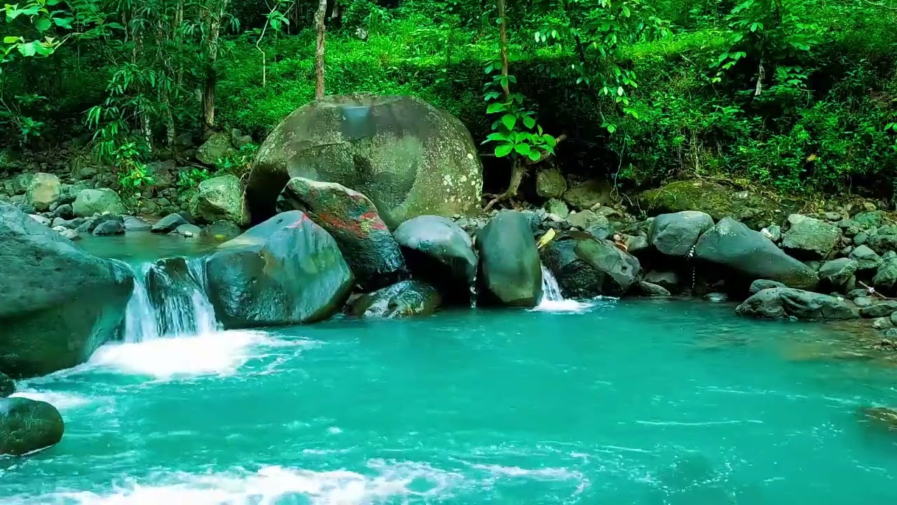 Calming Forest Ambience - River Flowing in Hidden Forest Ambience for Rest, Medicine