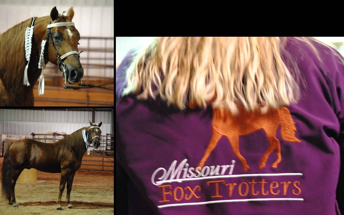 2015 MFTHBA Stallion Tour HD 720p