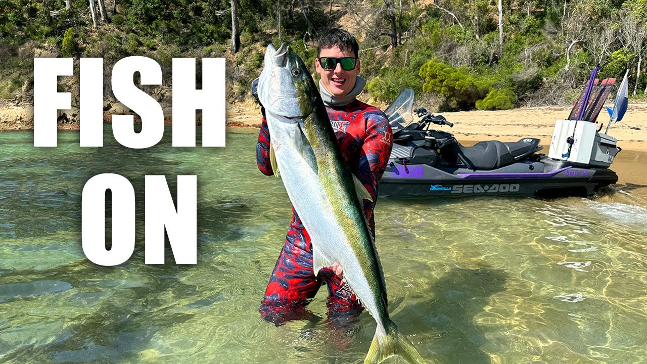 SPEARFISHING NSW - FISH ON Jetski Spearfishing