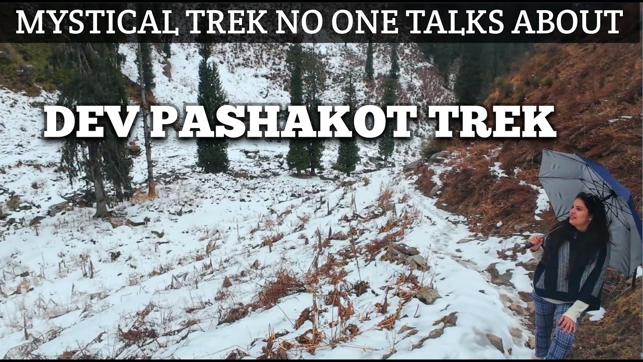 HIDDEN GEM NEAR BAROT || SNOW TREK IN POLING - THE LAST VILLAGE OF KANGRA |DHAULADHAR W.L SANCTUARY|