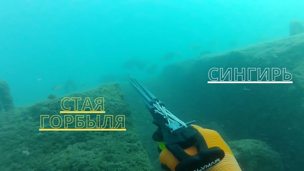 Черное Море. Подводная Охота, Кефаль и Горбыль!!