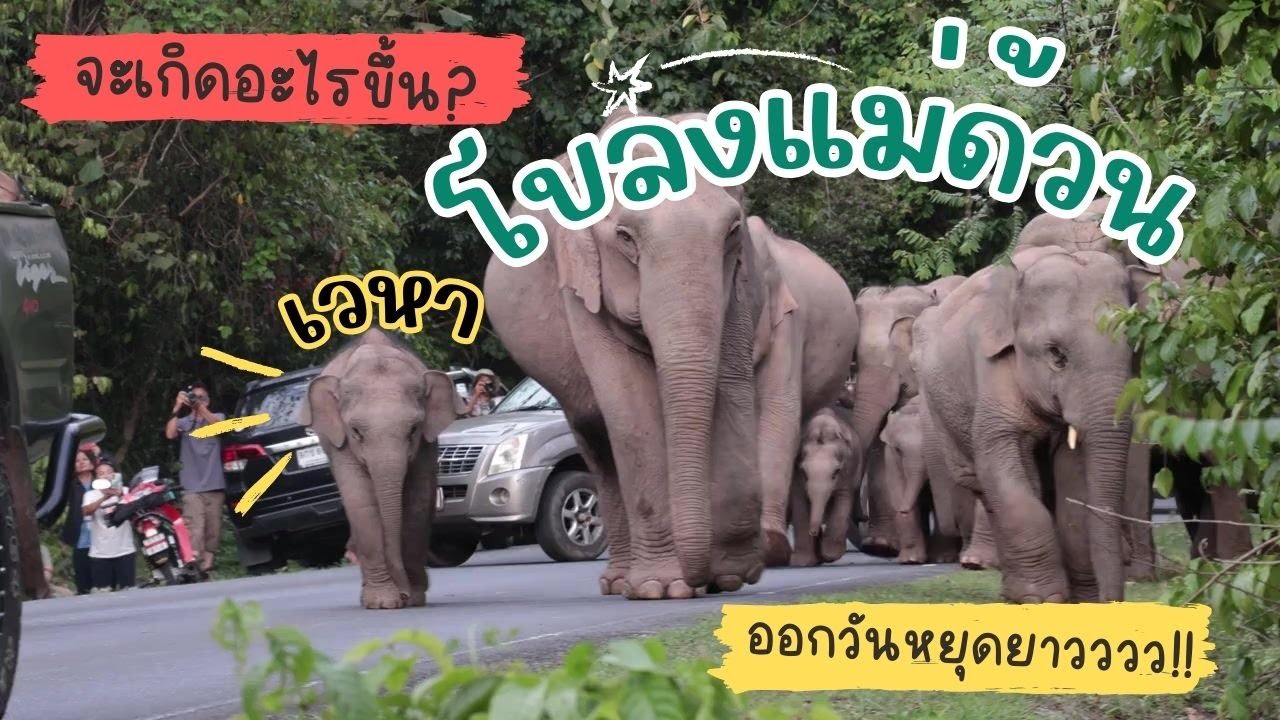 เมื่อวันหยุดยาว+เที่ยวอุทยานฟรี+เซเลบแม่ด้วนเวหาออกปรากฏตัว จะน่ารักและวุ่นวายขนาดมาดูกันเล๊ย😍