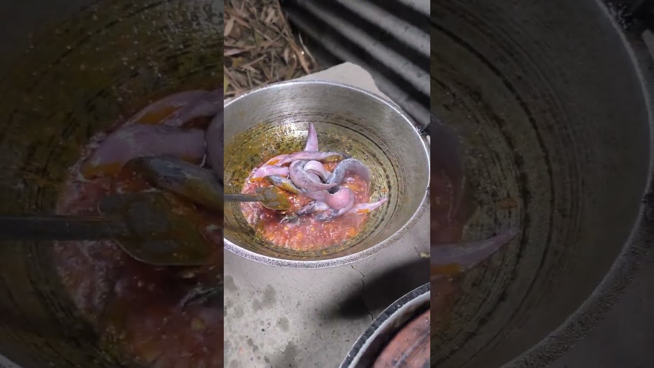 শুধু গ্রামের মানুষেরাই জানে জোড়া চুলার সুবিধা কত,,,