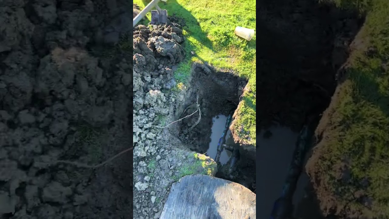 Bubble sprinkler head dig up to repair leak!