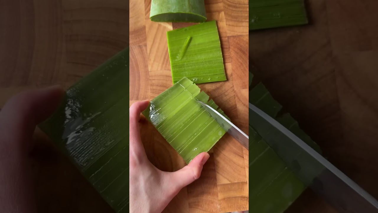 Aprende a usar la s&aacute;bila en un batido saludable #aloevera #sabila
