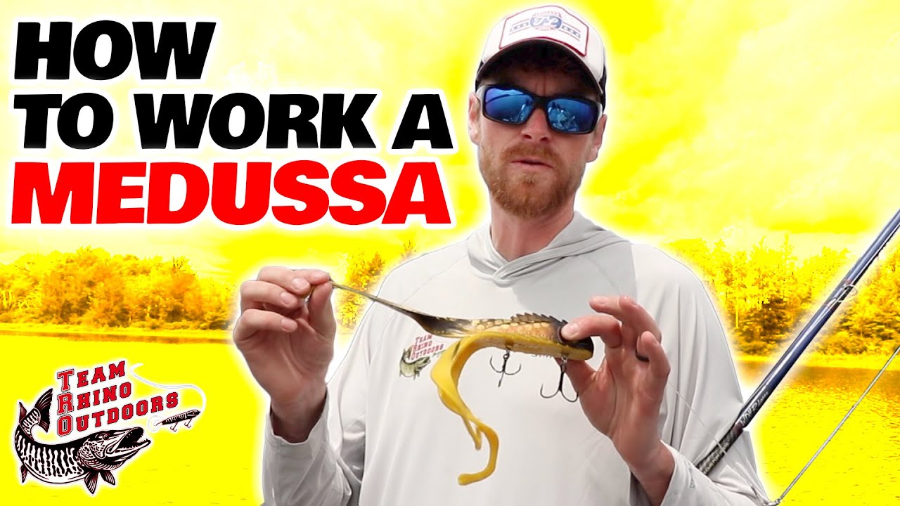 How to work a Medussa