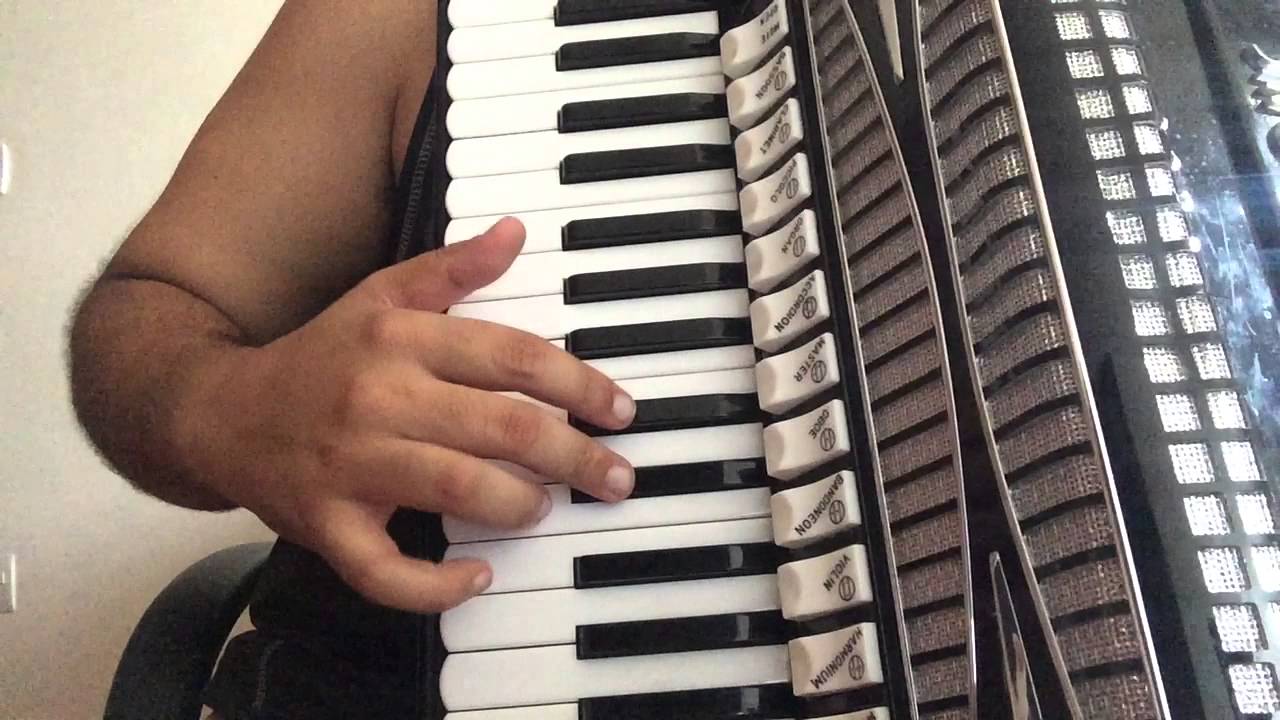 Video Aula Sanfona | Stereo Love | Edward Maya & Vika Jigulina