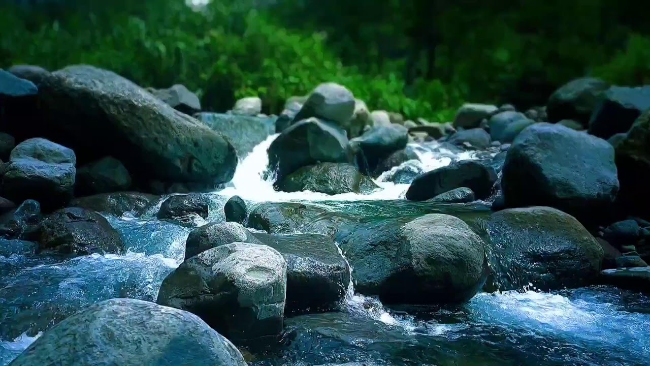 🌊 Calm Sunrise River ASMR Sounds for Deep Sleep, Relaxation & Peaceful Morning