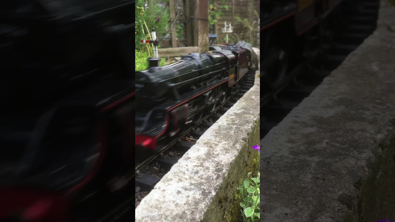 Scratch built O gauge coarse scale locos on garden layout.