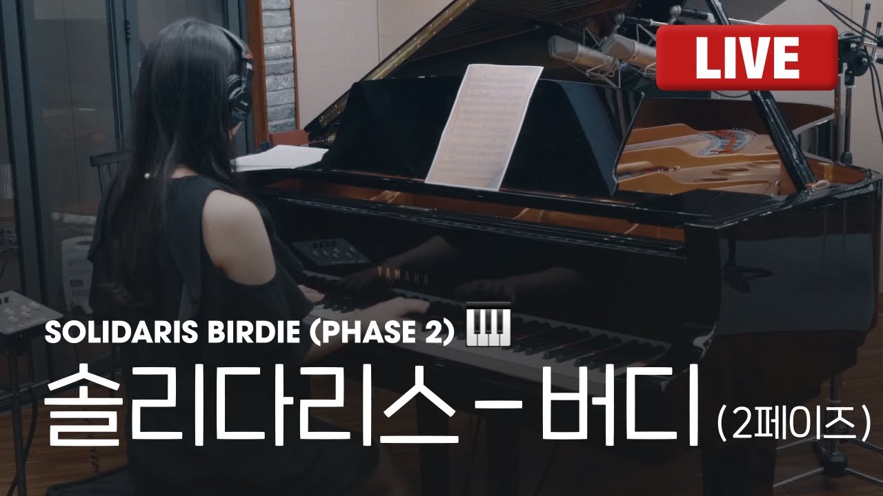 [Playthrough] 던파-솔리다리스 BGM 